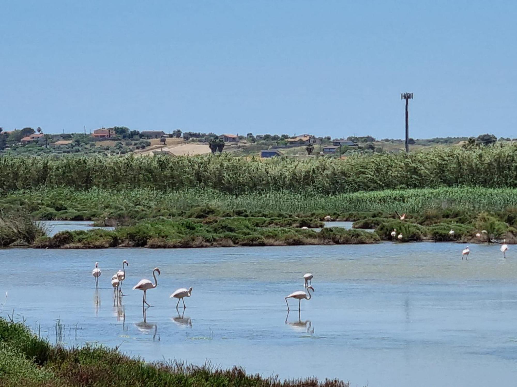 -Dimartino Home- Posizione Centrale 9 Min Da Marzamemi San Lorenzo Portopalo Di Capo Passero Пакино Экстерьер фото